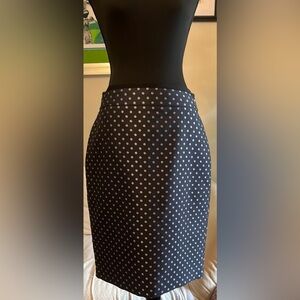 Ann Taylor Polka Dot Skirt